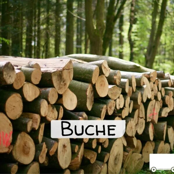 Buchen-Stammholz – LKW-Ladung | ganz oder halb
