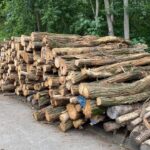 Waldkiefer-Stammholz PEFC – 3–10 m | Sägequalität