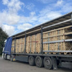 LKW Brennholz Hainbuche Buche 22 Paletten ( 44 RM ) 25 / 33cm