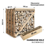 Brennholz Buche 25cm 2RM-Box
